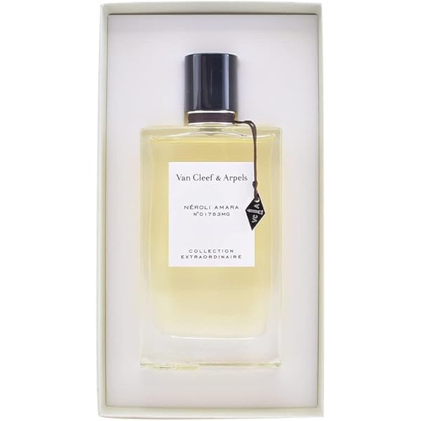 Amazon.com: Van Cleef & Arpels Bois D'iris 女性Edp 噴霧,2.5 盎司